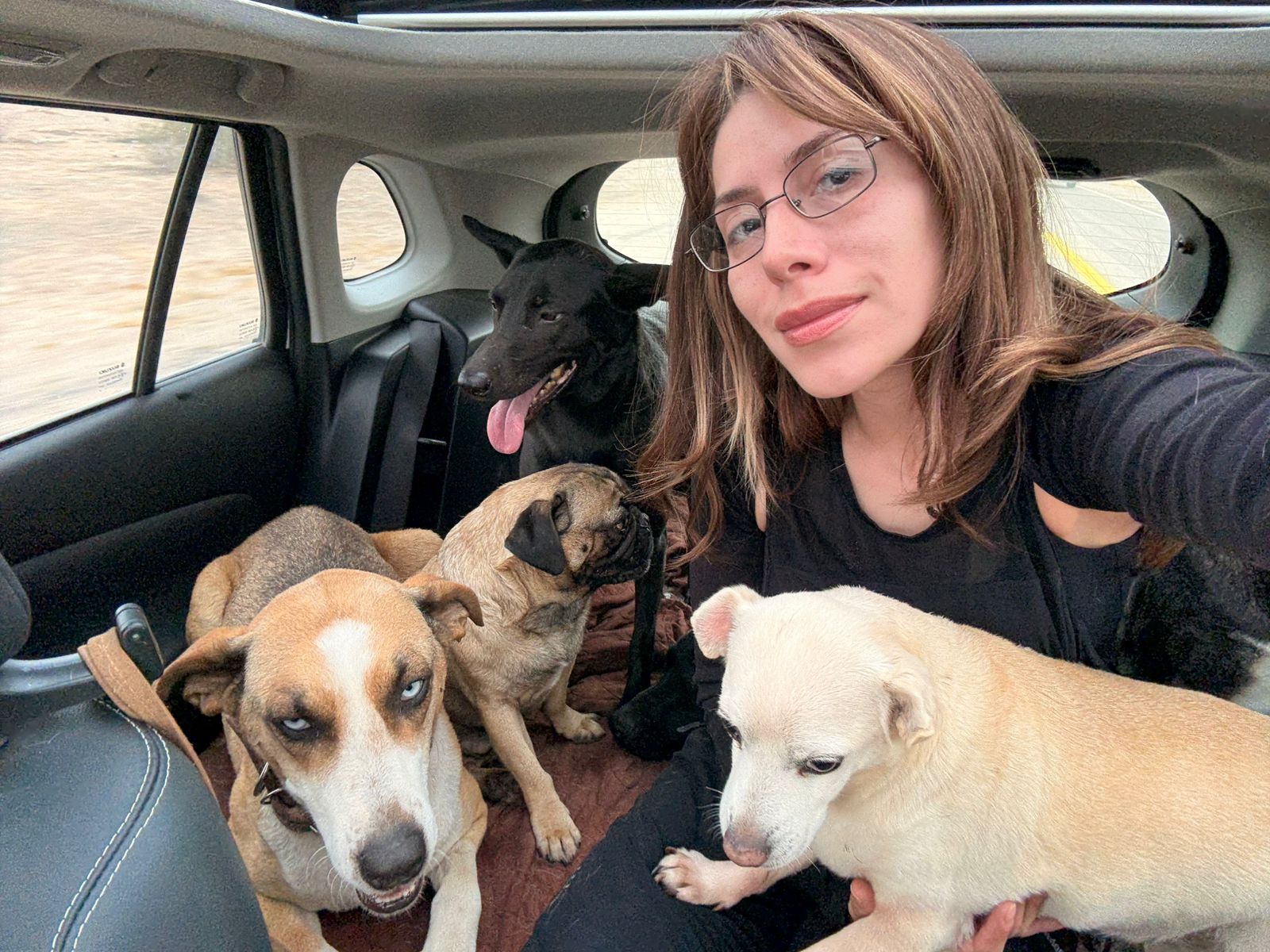 Cassi with rescued dogs in her car